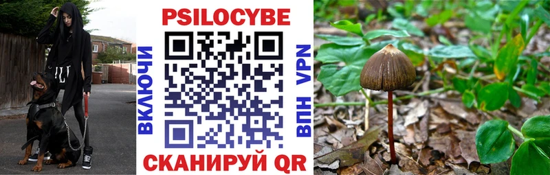 hydra ссылки  Салаир  Галлюциногенные грибы MAGIC MUSHROOMS 